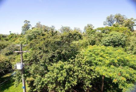 Apartamento com 99m², 3 quartos, 1 suíte, 2 vagas, no bairro Jardim Botânico em Porto Alegre