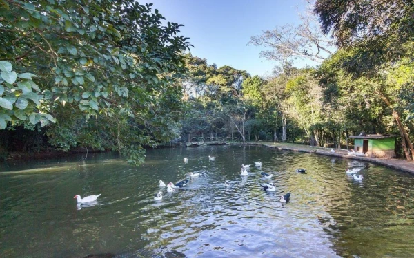 Foto de 