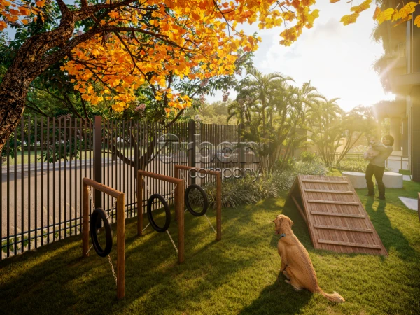 Nossa Senhora das Graças