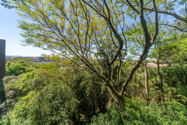 Três Figueiras