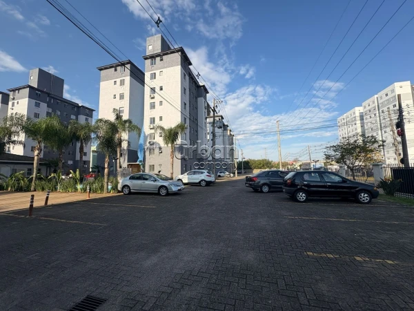 Igara