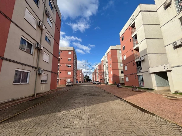Foto de 