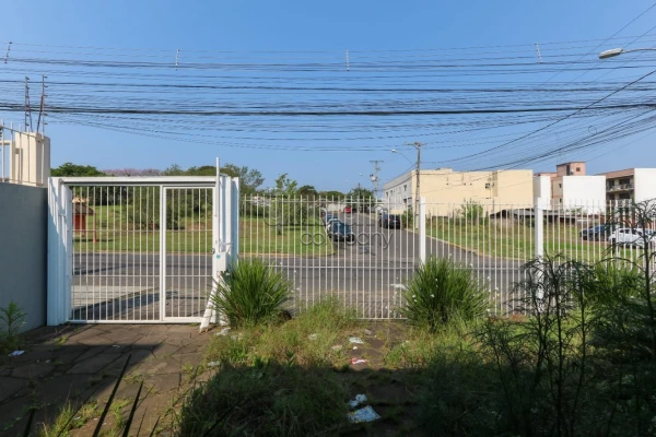 Igara