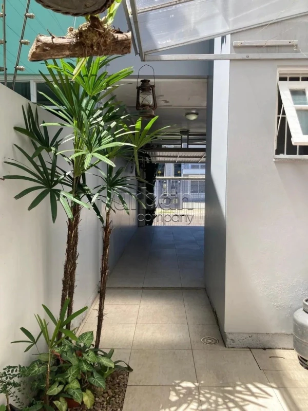 bela vista