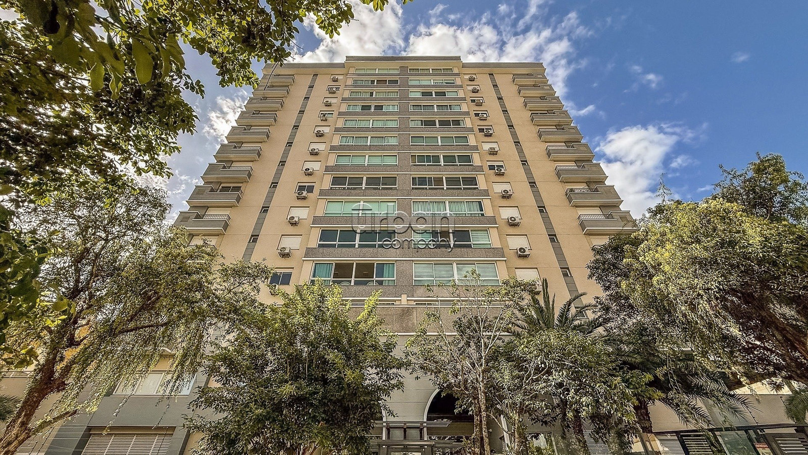 Foto do Jardim de Irís