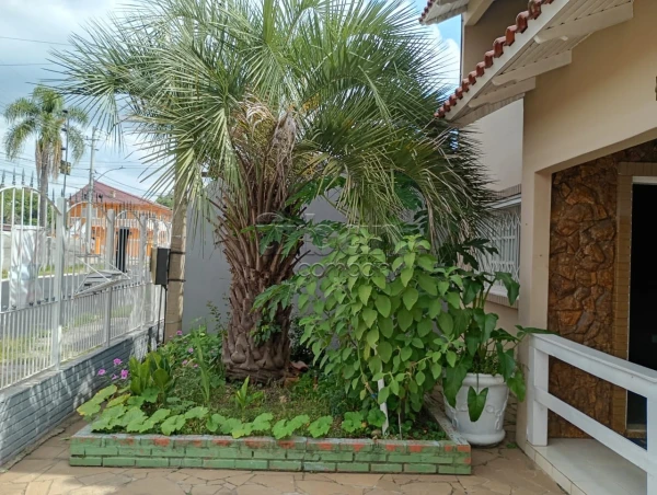 Mathias Velho