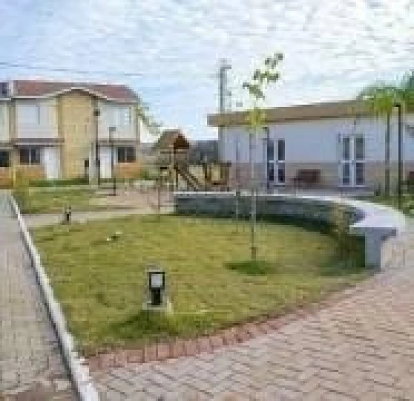 Igara