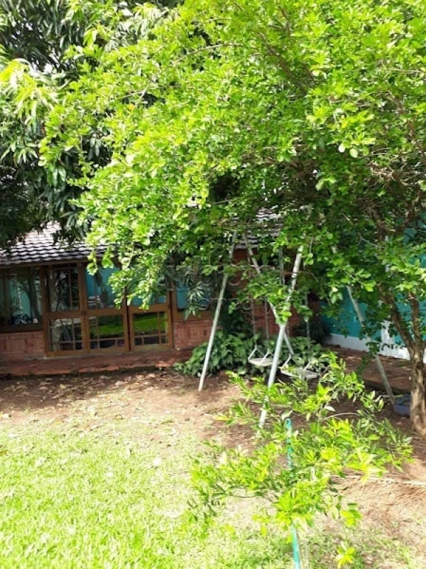 Moinhos de Vento
