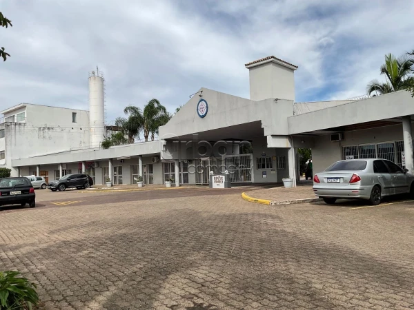 Rio Branco