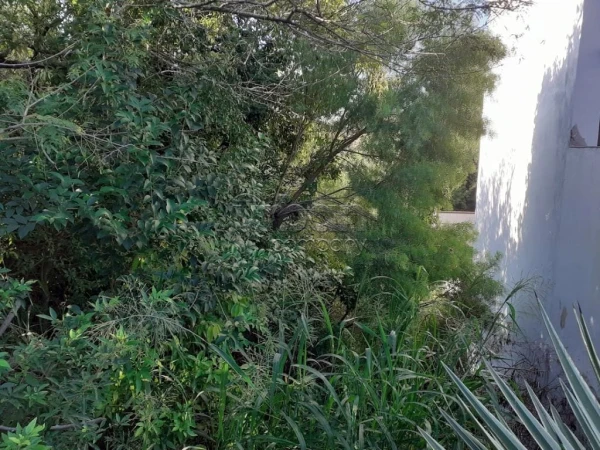 Foto de 