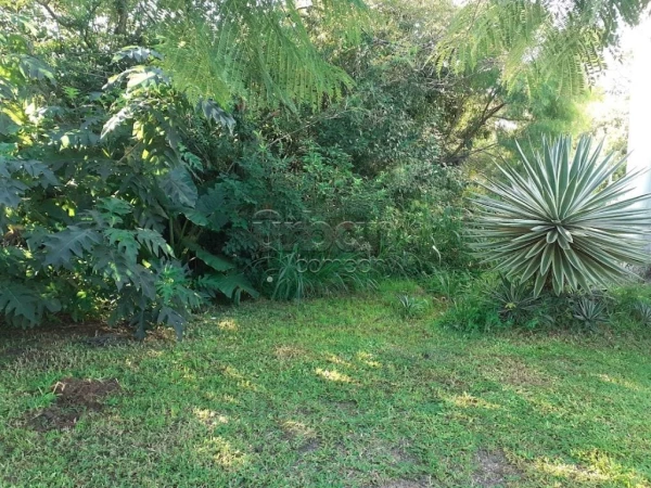 Foto de 