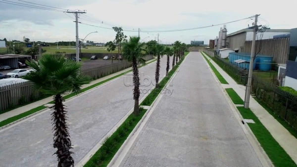 Foto de 