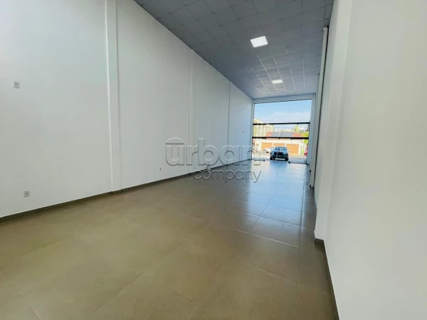 Nossa Senhora das Graças