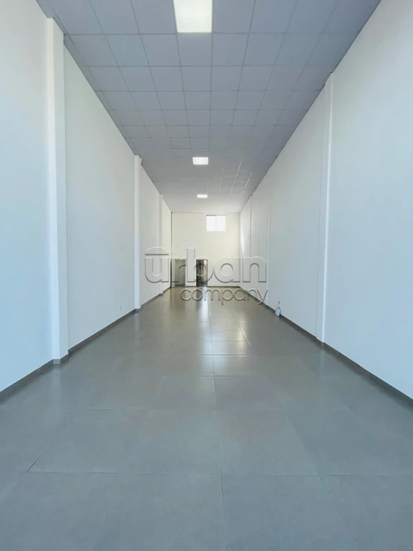 Nossa Senhora das Graças