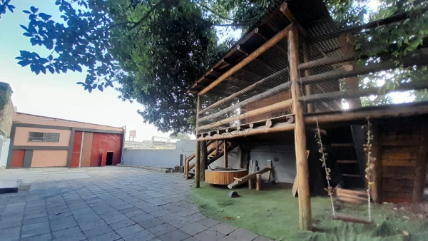 Igara