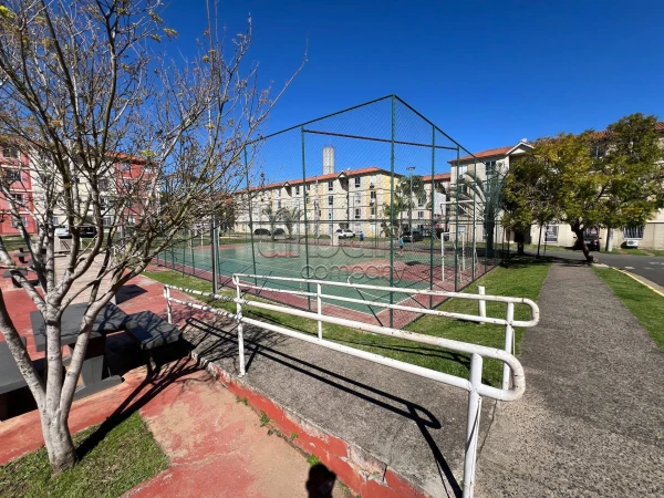 Igara
