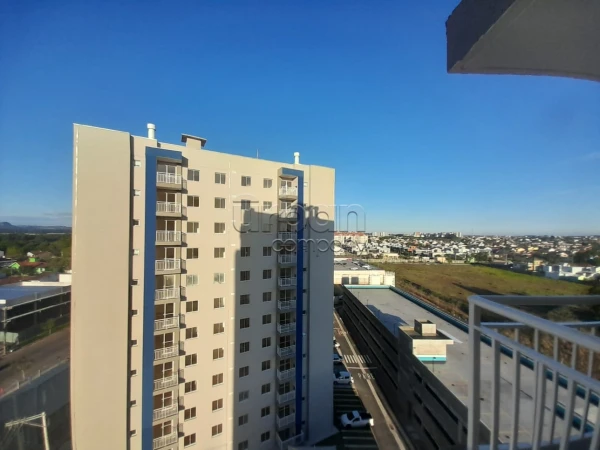 Igara