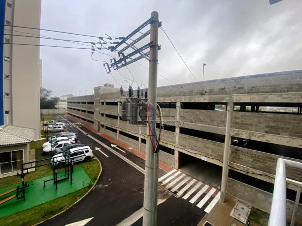 Igara