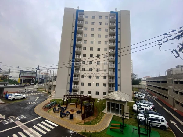 Igara