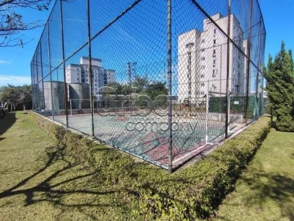 Igara