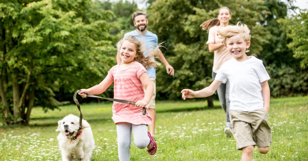 Imagem do post 5 motivos para comprar um apartamento de 3 dormitórios à venda em Jardim Europa Porto Alegre