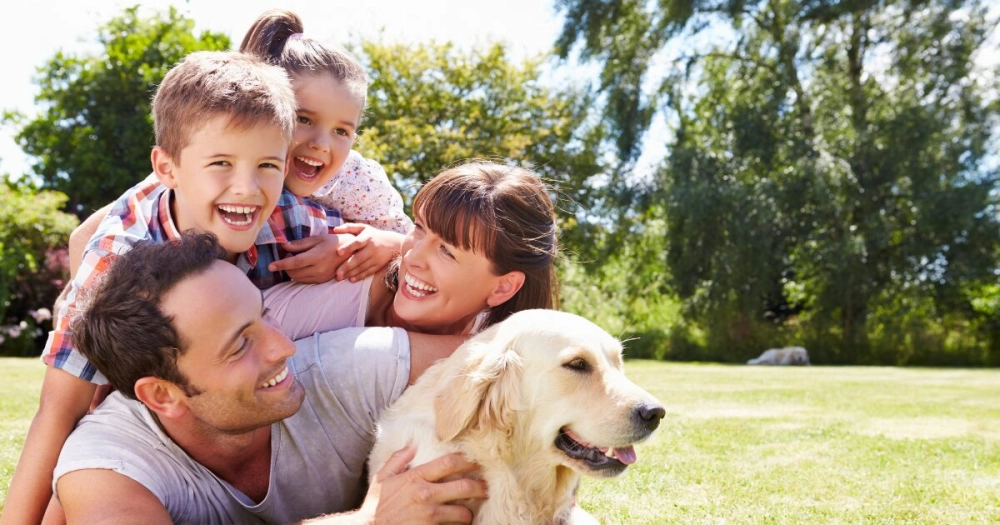 Imagem do post Guia Completo para comprar apartamento de 3 dormitórios à venda em Petrópolis Porto Alegre